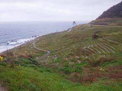 日本初の世界農業遺産に認定された「能登の里山里海」を代表するスポットで、日本海に面した急斜面に1000枚を超える小さな棚田が連なっていました。