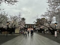 ＜靖国神社＞

「本殿」までの両側は桜・桜・桜。
この場所だったか忘れましたが桜の下で宴会をやったような記憶があります。
今はコロナの影響で誰もやっていませんでした。
