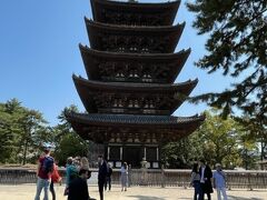 興福寺　五重塔です。日本で２番目に高い塔です。