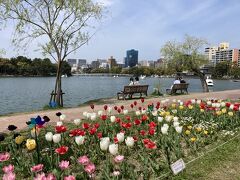 福岡城の横にある大濠公園です。
