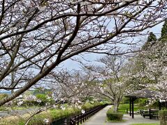 昭和天皇行幸時に梅園となった

宮の杜ふれあい公園を

右手に見ながら進みます

