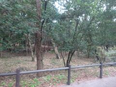 途中、煙樹ヶ浜を通ります。