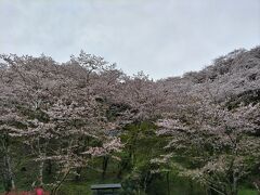 下からの眺めもいいのですが、