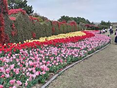 静岡県営 吉田公園