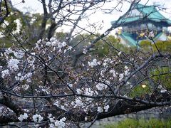4番目の目的地の大阪、大阪市の開花日3/19の3日後ですが、この日の大阪城公園の桜予報は「咲き始め」。予報通り殆どの桜の木はまだ咲いていません。