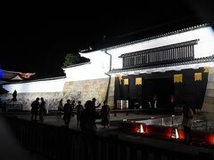 5番目の目的地の京都、京都市の開花日3/17・満開日3/24。満開日の2日前ですが、この日の二条城の桜予報は「咲き始め」。すでに夜なのでライトアップしている二条城か高台寺の選択です。二条城は未体験だったのでこちらを選びましたが、入場料は大人2000円。高額でまだ満開でないにも関わらず多くの人が集まっています。