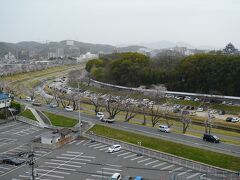 3/23、この日の朝は岡山に滞在します。天気予報通りこの日から週末まで全国的に曇りか雨。岡山市の開花日は3/22、本日の桜予報は「咲き始め」。岡山城を囲む北側の旭川沿いの桜の木はまだつぼみです。