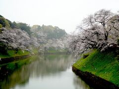 東京へ戻ります。千代田区の開花日が3/14で満開日が3/22、既に東京の多くの場所で満開を迎えています。3/24から3/26まで3日間東京に滞在したのですが、全ての日で天気に恵まれず。。桜の見頃の週末が雨で、東京在住の方は残念でしたでしょう。桜の満開は1週間ほどと短いのです。東京で最初に向かったのは皇居の周辺の千鳥ヶ淵緑道。
