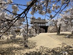 満開です。
ベンチに座って、A-COOPで買った桜餅をいただきました。