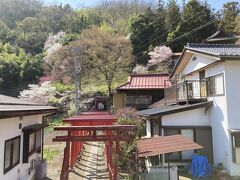 象山神社からさらに東へ進みます。
丘の上に見えるのは竹山随護稲荷神社です。
手前はたくさんの鳥居
桜がきれいなので、行ってみます。