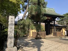 井伊家の菩提寺としても知られる豪徳寺。井伊直弼のお墓があるそうです。