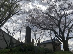 満開の桜と兜塚。
ここは赤坂宿の京側入口。