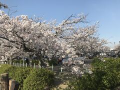 桑名市　九華公園内