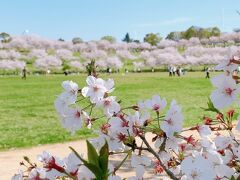 都田総合公園