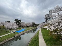 歩いて１０分くらいで岡崎公園に到着