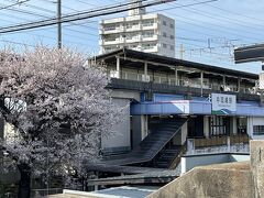 名鉄の駅へはすぐだった。
結構歩いた一日。
念願かなっての桜の岡崎城。満喫しました。