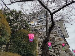 桜満開の天守閣