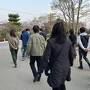 桜満開の京都から花巻へ（4）智積院の朝のお勤めと三十三間堂