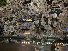 前田屋を後に中州の方へ散策
桜の時期で川沿いには桜満開