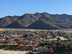 展望台・芙蓉台(プヨンデ)からの眺め

タクシーはバス乗り場に沢山いるのでそこまでシャトルバスで戻ります。適当に声をかけ連れてってもらいました。

ただ復路の足がないので、タクシーに待っててもらいました。
往復20分+滞在20分程でトータルで3,000円ちょっとでした。

帰りはまた河回村のバス停まで戻ったのですがよく考えれば安東までそのまま戻っても良かったかも。
