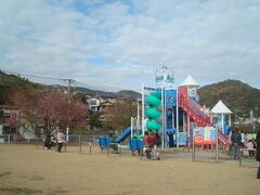 長浜海浜公園遊具広場の横に桜の木がありました。
