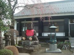 正眼寺大地蔵横の枝垂れ桜はまだつぼみでした。