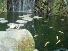 天成園庭園内にある飛烟の瀧です。鴨や鯉がかわいい。