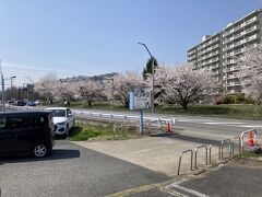 朝10じ半頃、長野駅東口の自宅を車で出発し、須坂に向かいます。
その途中、立ち寄ったのは、Mウェーブの近くにある、ペンギンベーカリー。
桜の向こうにエムウェーブの大屋根が見えます。
