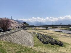 百々川の上流は菅平高原。
川沿いの桜も素敵です。