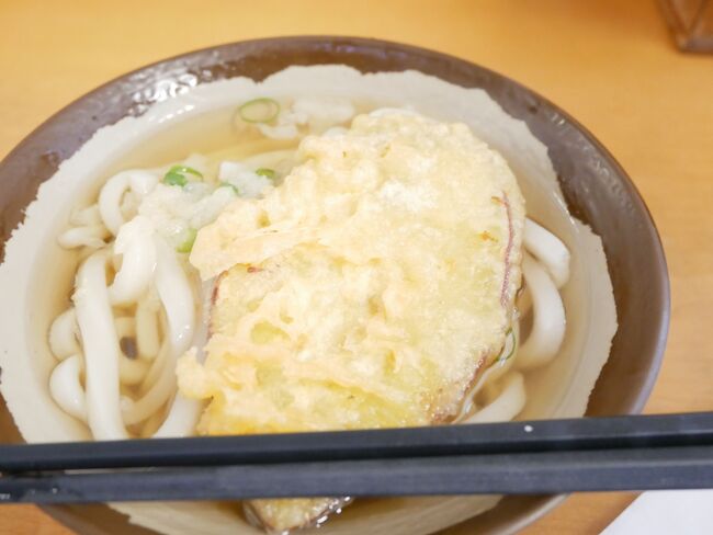 香川に来たらとりあえずうどん！と高松駅前のめりけんやさんへ。<br />天ぷらのせ、さすがに美味しい！前回来た時も思ったけど、高松のうどんのクオリティと手軽さ、ほんとすごい。