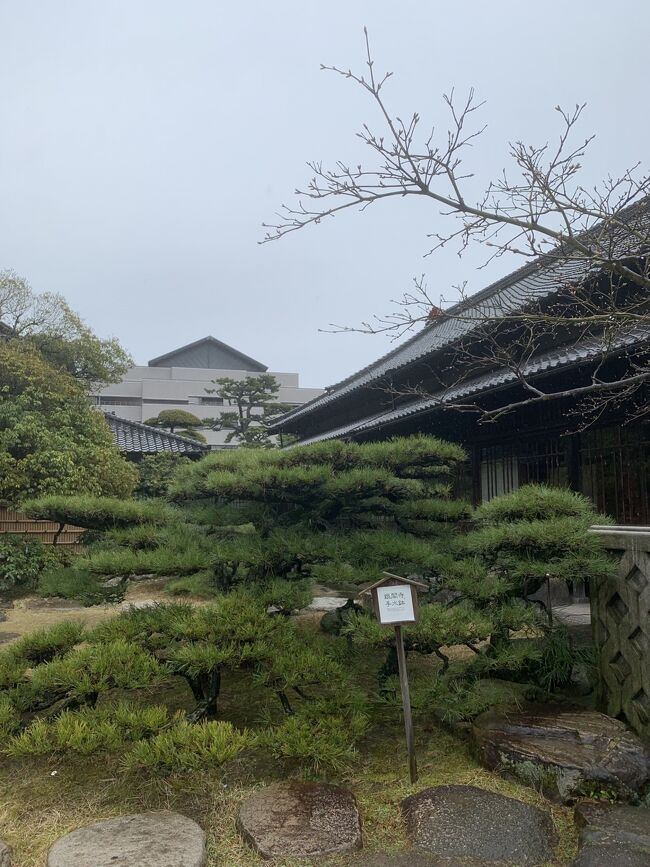 素敵なお庭。大人だけだったらのんびり見学できたんでしょうが、小1男子には向かない場所で…