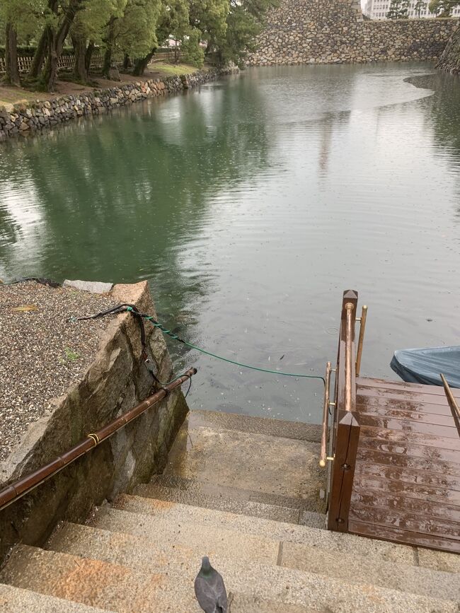 鯛願成就、と書いてあった池で鯛にえさやりだけして出ましたｗ<br />爆笑しながら雨の中で2回やってた。