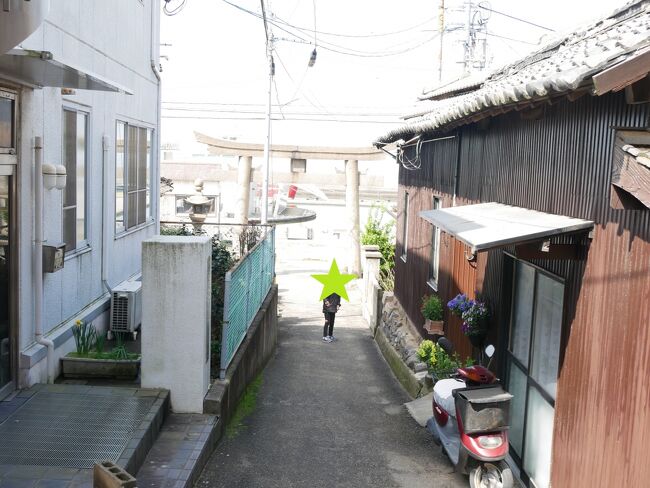 猫たちに別れを告げ、港へ向かいます。