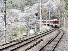 　　　　桜の吉野山に行く時は
　　　　始発もしくはそれに近い電車でお出かけ
　　　　そしてお昼前後には帰路に着くパターン

　　　　だけど今日は吉野山ではないし
　　　　＆ 2万歩超えの連日だったので、足を労いたい
　　　　って事で自宅を出たのは10時半過ぎ

　　　