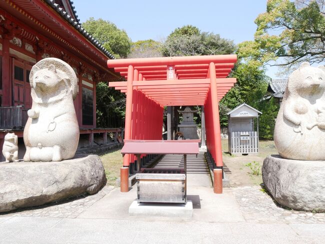 屋島太三郎狸。弘法大師を道案内したんだそう。<br />平成狸合戦ぽんぽこにも出てましたね。