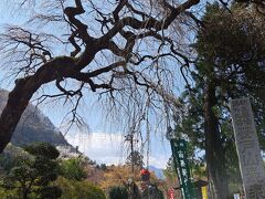 笹戸山 長泉院 (札所二十九番)