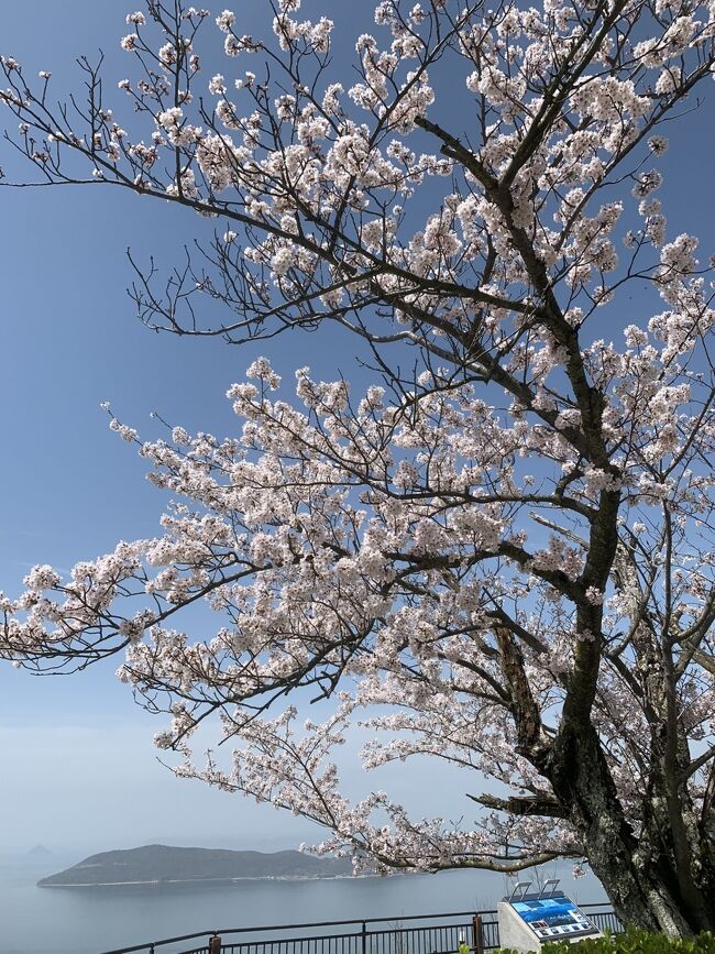 桜も綺麗だし本当気持ちいい景色でした！