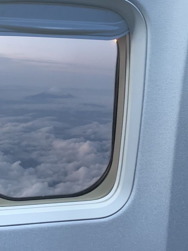 飛行機から綺麗な富士山が見えました。定刻通り18：35羽田着。<br /><br />長くなってしまいました。<br />移動多めの旅行でしたが、普段見られない景色を見て、やっぱり旅は楽しいですね。<br /><br />