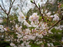 知覧平和公園