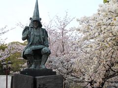 ホテルにチェックイン後、熊本城まで桜を見に行きました。