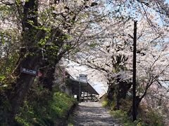 夫はこの日、歯医者の予約をしちゃったのでここで帰ることになりました。
鬼嫁だから一緒に帰ってあげないのよ。