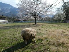 羊山公園