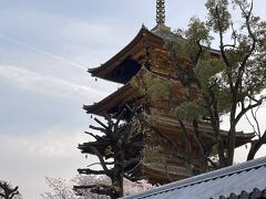 ホテル(東寺の近く)にチェックイン後、一休みした後に東寺の夜桜ライトアップに出発！
塀の外から五重塔をパシャリ&#128247;
桜&#127800;も少し見えてますね。