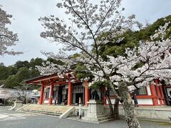 鞍馬寺の本宮。狛犬でなく駒虎なのにびっくりしました！中でお参りをすませます。