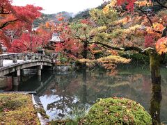 錦雲橋から弁天社。紅葉と絡み合いとても美しい光景です。