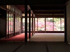 さて、南禅寺の紅葉といえば天授庵。こちらも綺麗です。ここからの風景は肉眼ではとても美しいのですが、私のiphoneではどう写してもこれが限界。残念です。