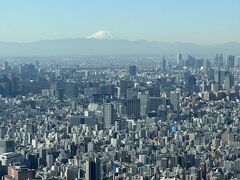 富士山が見える！