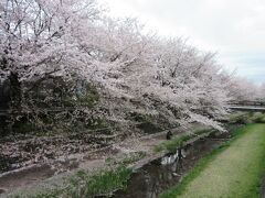 野川西之橋