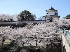 お腹も満たされ、最初の目的地「兼六園」へ。
金沢地方はこの週末が桜満開、バス停は大行列だったのでタクシーで。
道も混み混みだったけどタクシーの運転手さんの地元金沢ディスりまくりの暴言連発に大爆笑の移動時間となりました。
唯一誉めたのが中田屋さんのきんつば（笑）

タクシーを降りたら目の前に満開の桜と金沢城！一気にテンションMAX!!