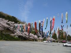 吉備津彦神社に来ました。

駐車場にはたくさんの鯉のぼりが気持ちよさそうに泳いでいます。